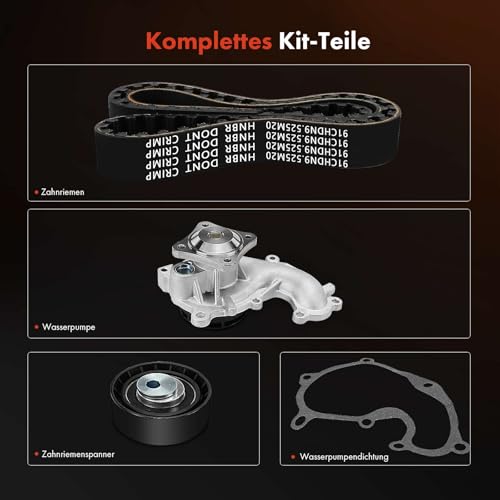 Courroie de distribution pour Fiesta Camionnette et Focus de route - 3