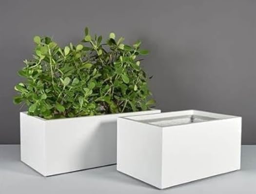 Fiberglass GRP Rectangular Pot 60x30x30cm (LWH) – White Planter for ...