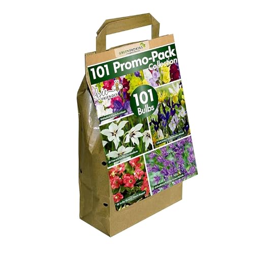 GreenBrokers 101 Promo Pack Collection Summer Flowering Bulbs Mixed Colours (101 Bulbs 5 Different Varieties) Bee & Butterfly Friendly