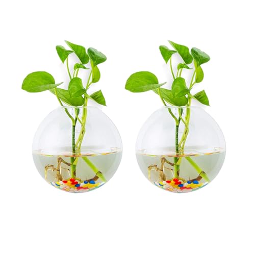 Glasseam Jardinières Suspendues en Verre 2 Pcs Forme Sphérique Pots De Plantes Terrarium Vase De Récipient avec 2.12 OZ Pierres Colorées Intérieur...