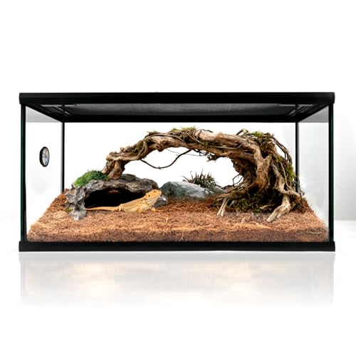 waazoorep Reptile Glass Tank 20*12*10 Pre-Assembled Terrarium for Turtle Hermit Crab Bearded Dragon Gecko Lizard Snake Spider Fish Tarantula Enclosure with Top Screen Ventilation and Openning Door