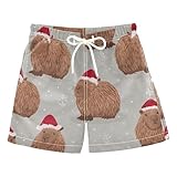 Aflyko Christmas Boys Board Shorts Santa Hat Capybara Grey Fashion Youth Swim Shorts, Relaxed Fit for Beach Holidays and Pool Parties, X-Large