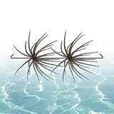Angelköder – zweiteilige weiche Schwimmform | Salzwasser-Angelköder für Forellen | für Süß- und Salzwasser See Fluss Männer Anfänger
