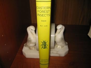 Hardcover Eastern Forest Insects Book