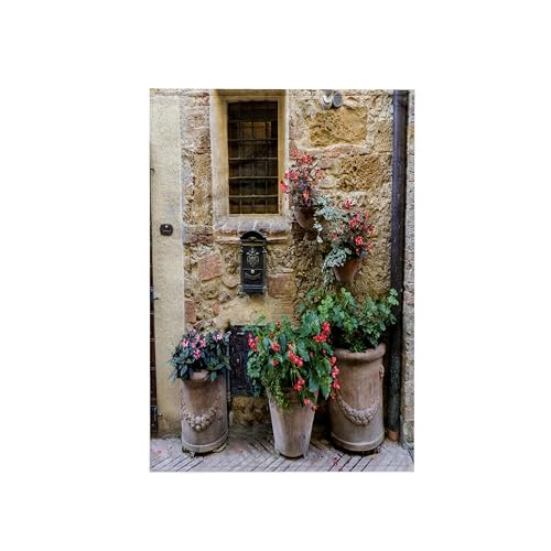 3dRose Italy, Tuscany. Flower pots in a Village in Tuscany 15x22 Hand Towel