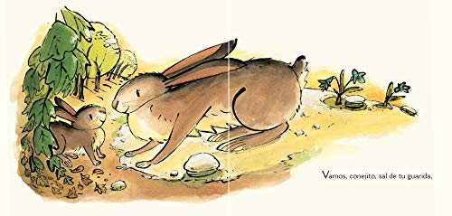 ¡anda, Conejito! [Spanish] 8484706052 Book Cover