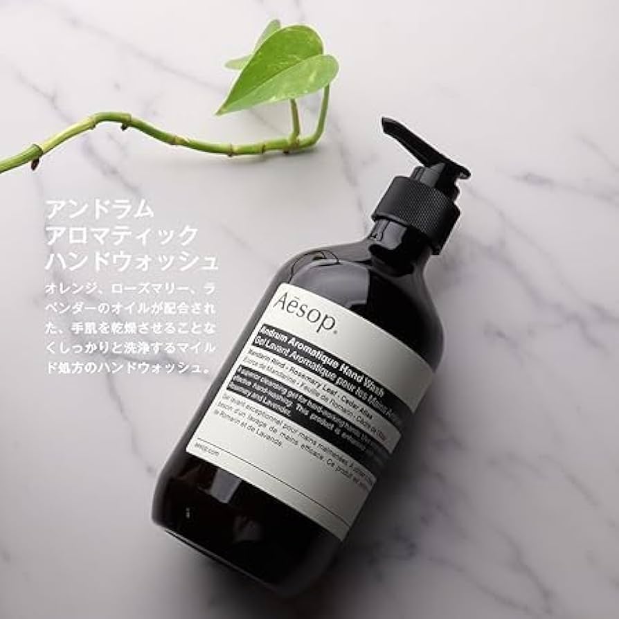 イソップ　ハンドウォッシュ＆ハンドバーム Aesop イソップ ハンドソープ ハンドジェル セット ハンド