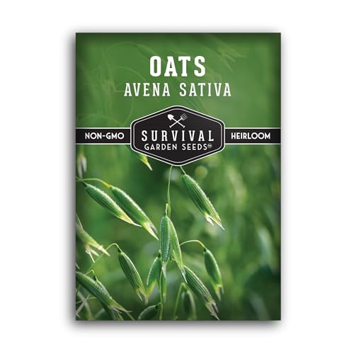 Oat Seeds for Planting Heirloom Avena Sativa Milky Oats Medicinal Herb & Oatstraw for Tea Tinctures and Cover Crops Heirloom Non-GMO Seeds Survival Garden Seeds (1 Pack)