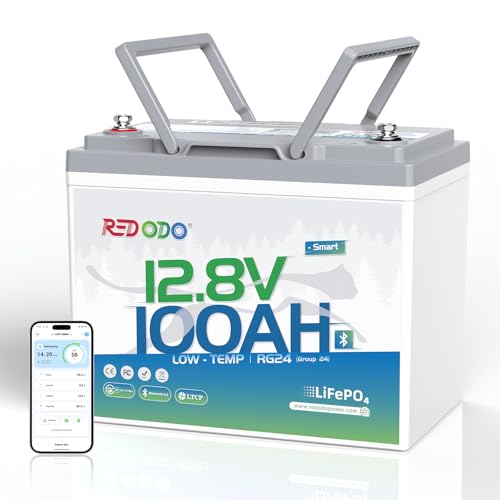 Redodo 12V 100Ah LiFePO4 Battery Bluetooth, Low-Temp Protection BCI Group 24 Lithium Battery for Trolling Motor, Bulit-in 100A Smart BMS, Perfect for Marine, Boat, RV, Solar and Off Grid