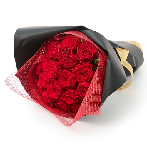 bloomee(u[~[) v~A[Yu[P 20{ (NX}XJ[h t) xmas NX}X   Mtg a v[g j LO (t[Mtg ԑ)