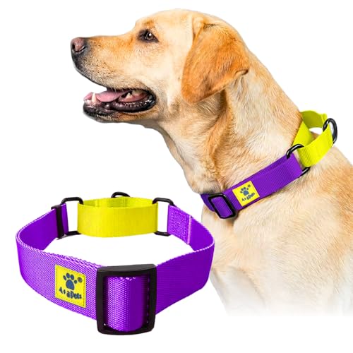 Image of A+a Pets Martingale Dog Collar | No Pull Design, No Neck Strain, No Choke Design | for Large & Medium Dogs | Rust Free, Waterproof Nylon Training Collar (Purple & Yellow), 30 x 2.5 cm