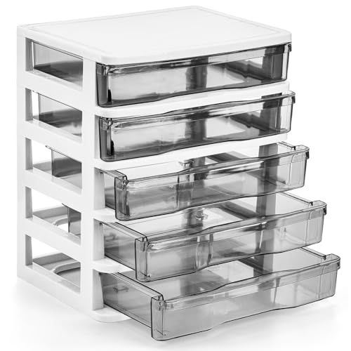 DEAYOU 5 Drawer Desktop Storage Bin Unit, Small Plastic Organizer, White Frame with Clear Drawer, Mini Container Case for Desk, Storing Craft, Accessory, Stationery