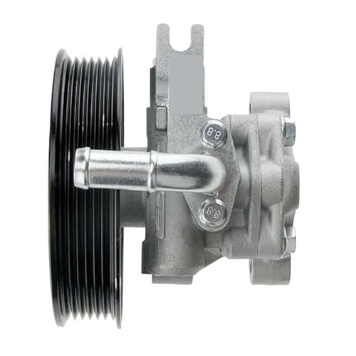 ORAMONTEX Pompe de Direction assistée Compatible avec Hyundai Santa Fe CM Kia Sorento XM 2.0L 2.2L CRDI D4HB 57100-2P000 57100-2P010 571002P000 571002P010