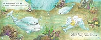 Hardcover WHO'S THAT WHALE WITH THE FUNNY TAIL? Book