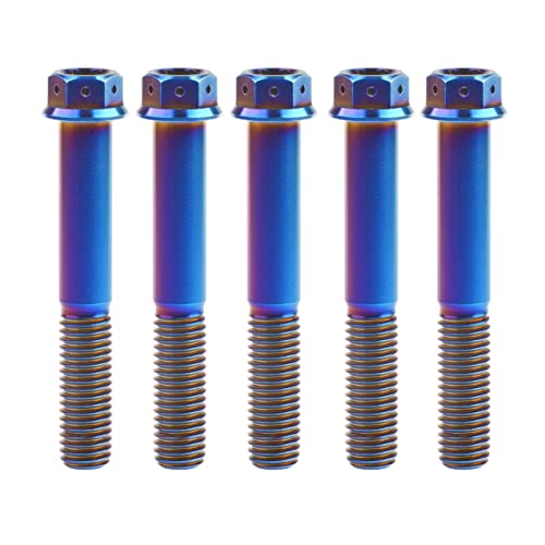 Ruifuチタン合金フランジヘッド六角穴付ボルトM10 20 25 30 35 40 45 50 55 60 65 70 75 80 85 90mm 二輪車用改造ネジ5個 (M10x65mm Pitch 1.25, ファイアブルー)