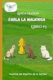 Books By L Mason, A Safe Place