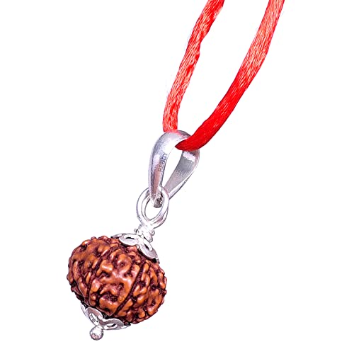 Image of REBUY 10 Mukhi Rudraksha Pendant Indonesian /Java Rudraksha Lab Certified Original Rudraksha Pendant for Men & Women, Origin Indonesian, Color Brown