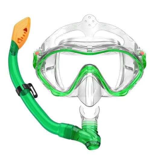 Kids Snorkel Set Dry Top Snorkel Mask with Carrying Bag Kids Youth Junior Snorkeling Gear for Boys and Girls Age from 5-13 Years Old