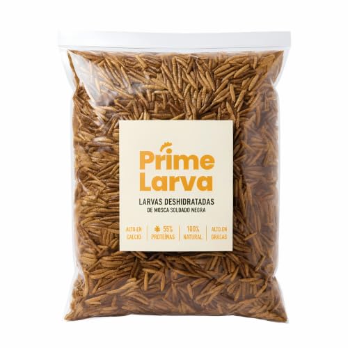 Larvas de Mosca Soldado Negra (BSF) Deshidratadas para Animales – 1kg – Muy Alto en Calcio y Proteína – Snack para Gallinas, Aves Silvestres, Tortugas, Peces, Ratas, Erizos y Hámsteres