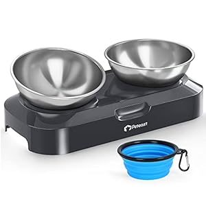 Peteast katzennapf: Edelstahl Fressnapf Katze mit 15°verstellbarem Neigungswinkel und rutschfeste und Kratzfeste Gummifüße futternapf Katze