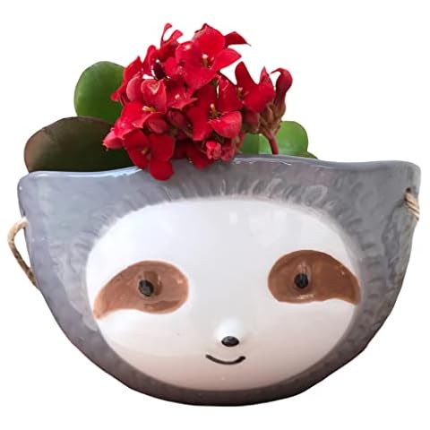 Sloth Hanging Planter | Succulent Plant Pot |Indoor Outdoor Ceramic Animal Planters Pots| Flowerpot Container (1, Grey-Sloth Face) Cover