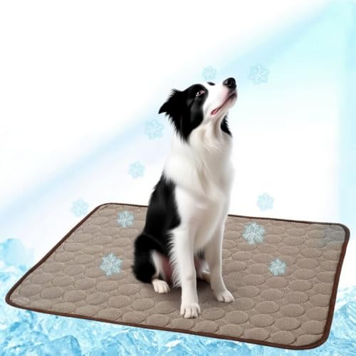 Tappetino Refrigerante per Gatti e Cani,Materassino Refrigerante per Animali, Tappeto Autorinfrescante Pet Cooling Mat in Estate,per Cuccia Casa Viaggio Macchina,(70x55cm,Grigio)