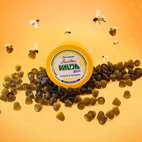 Pastilha Valda Mais Própolis e Gengibre 50g