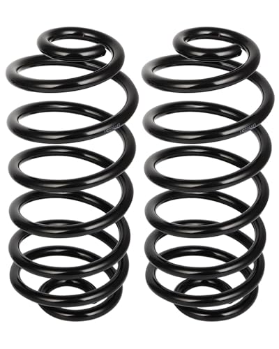 SCITOO 2Pcs Rear Suspension Coil Spring Set Fits 2004-2012 for Chevy for Malibu 2006-2010 for Pontiac G6 2007-2009 for Saturn Aura with CC81365 15829443 Coil Springs