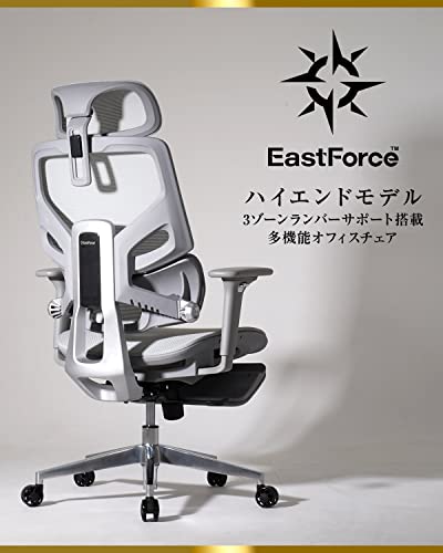 EastForce 日本ブランド ハイエンドモデル LUMBIRT 3ゾーンランバーサポート搭載 リクライニング 人間工学 オフィスチェア デスクチェア 椅子 ブラック [2]