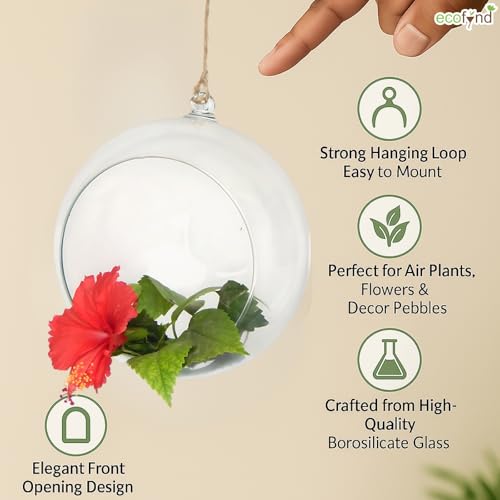 Image of ecofynd Glass Vase for Flowers Plants, Modern Decorative Vase for Home Decor Center Table, Bedroom, Living Room, Office Decoration, Wedding or Gifts (GVASE001)