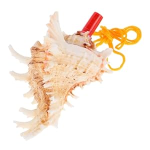 Abaodam Muschelhorn Muschelpfeife mit rotem Mundstück