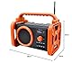 Soundmaster DAB80OR Baustellenradio Gartenradio mit DAB+ UKW Bluetooth und Li-Ion Akku IP44 Staub- und spritzwassergeschützt