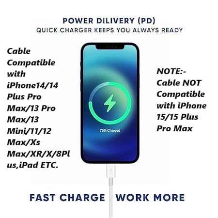 Image of Original 20W Fast Charging Adapter Compatible with app.Ie 14 Pro, 14 Pro, 13, 13 Pro, 13 Pro Max, 12, 12 Pro Max, 11, 11 Pro Max, X, 8 Series (All iPads) (Only Adapter) (FIX25)