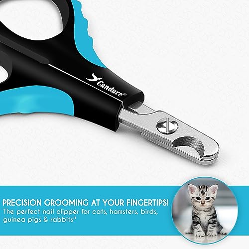 Candure Profi Krallenschere für Hunde und Katzen mit Nagelfeile Edelstahl Krallenzange Hohe Qualität Krallenpflege Schneider für Haustiere Nagelknipser groß Mit Sicherheitsschutz (Klein (XS), Blau)