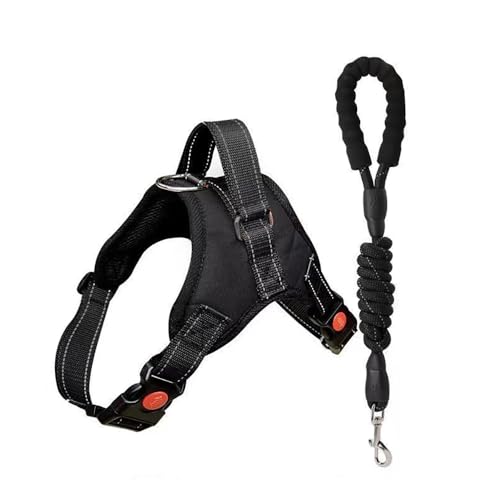 FFWTPY Pettorina per Cane Traspirante, Regolabile Comodo guinzaglio Incluso per Cani di Taglia Piccola Media e Grande Ideale per addestrare Le Passeggiate (Nero L)