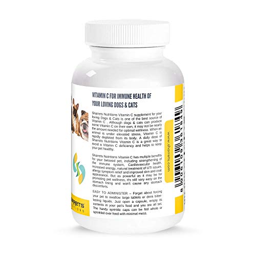 Do Dogs Make Their Own Vitamin C