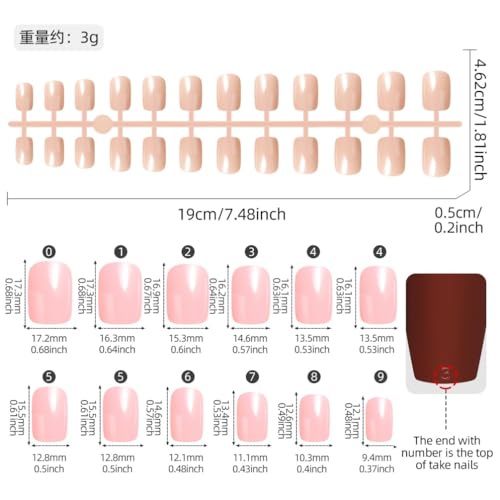 Image of 576Pcs Short Square Press on Nails Solid Color Fake Nails 24 color Wine Red Pink Nude Glossy Full Cover Stick on Nails for Women Manicure