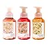 Bath & Body Works Warm Vanilla Sugar, Peach Bellini & Kitchen Lemon Gentle & Clean Foaming Hand Soap Bundle - Germ-Cleansing Hand Soap with Gentle Cleansing & Conditioning Formula - Thoughtful Gift
