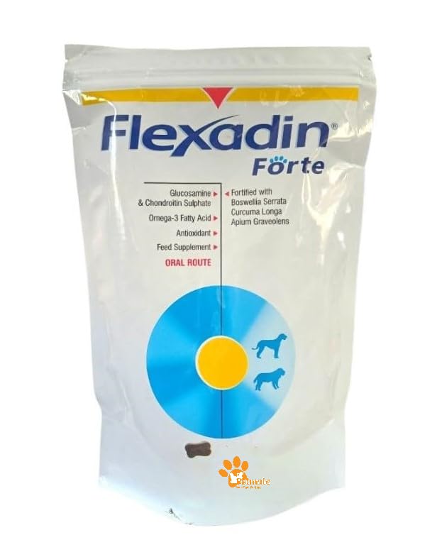 Flexadin Forte - Joint Support Chewable Tablet for Dogs | Glucosamine, Chondroitin, Omega-3 & Antioxidants | Mobility, Hip... - Review, Price and Buying Guide