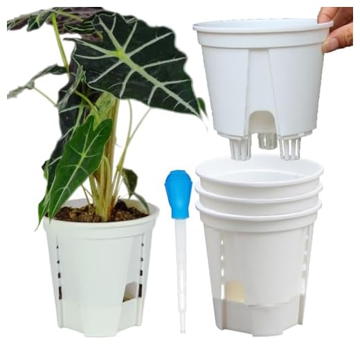 Bouqlife 4 Pack Self Watering Plant Pots 6 inch White Plastic Planter with Deep Reservior and Drainage Holes for Orchid Houseplants, Aroids, Hoyas, Monstera