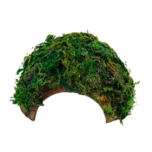 TEHAUX ঒ރVF^[ ? pVRO[B ϋv ঒ރP[WKp nX^[ gJQ T̏Z