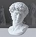 LKXHarleya 11.8 Inch Classic Greek Michelangelo David Bust Statue Replica Sculpture Figurine for Artist