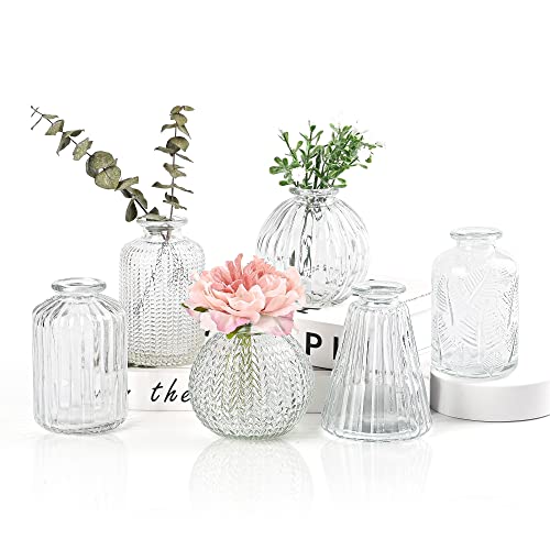 Vasen Klein Glas EylKoi - 6 Teile/Satz Klar Verschiedene Formen, Vasen Hochzeit, Tischdeko Mini Kleine Für Zuhause, Veranstaltungen Tisch, 1# + 2#
