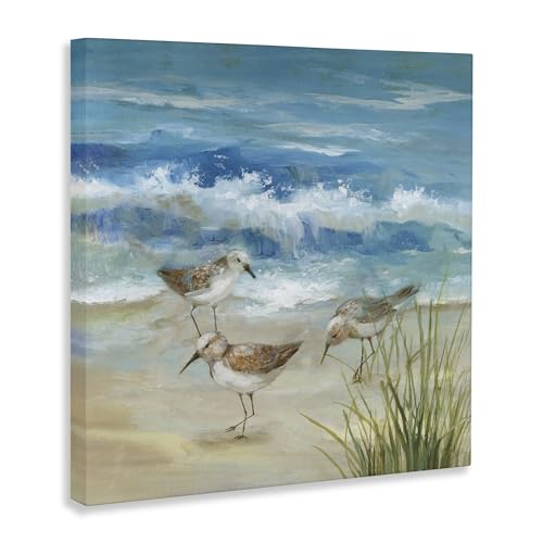 Beach Sandpiper Coastal Bird, 30 x 30 Inch Canvas Wall Art by Stupell Industries - Used condition - Image 3