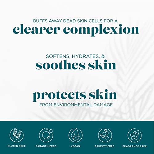 Vi Derm Hydrating Gentle Purifying Cleanser, For Daily Use With Aloe Vera, Antioxidants, And Willow Bark Extract, 4 Fl Oz / 120 Ml #TOP3