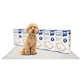 Harbour Housewares Einweg-Welpenunterlagen - 60 cm x 89 cm - 50 x extragroße, saugfähige Welpen-Trainingsunterlagen, auslaufsichere Pipi-Unterlagen für Hunde, Katzen, Kätzchen, Töpfchen-Trainingsmatte