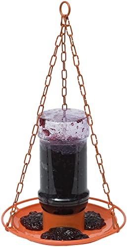 best bird feeders for orioles that will transform your backyard experience 7 Perky-Pet Oriole 32 oz. Plastic Nectar Feeder 1 Ports