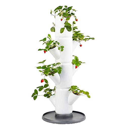 Sissi Strawberry (Starter, blanco) - Macetero / Macetero / Torre de Plantación/Jardinera para Fresas - Para Balcón, Jardín y Terraza - Plantación de Fresas y Hierbas Cover