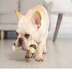 Dog Chew Toys for Aggressive Chewers Large Breed,2 Pack Beef Flavor Indestructible Dog Teething Chew Toys Bones for Large/Medium/Small Puppies,Pet Toy with Nylon - Image 6