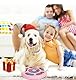 Blanlody Hundespielzeug Intelligenz， Intelligenzspielzeug für Hunde mit Quietschend Interaktives Hundespielzeug mit Beschäftigung， Futterspielzeug Hund für Kleine, Mittlere, Große Hunde und Katzen
